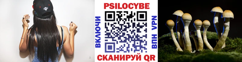 Галлюциногенные грибы прущие грибы  Купить  Свирск 